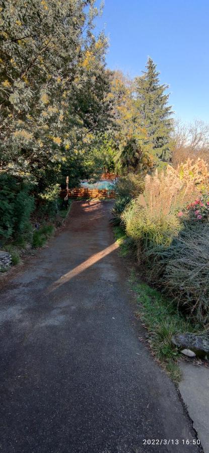 B&B En Plein Coeur De La Foret Artiguelouve Bagian luar foto